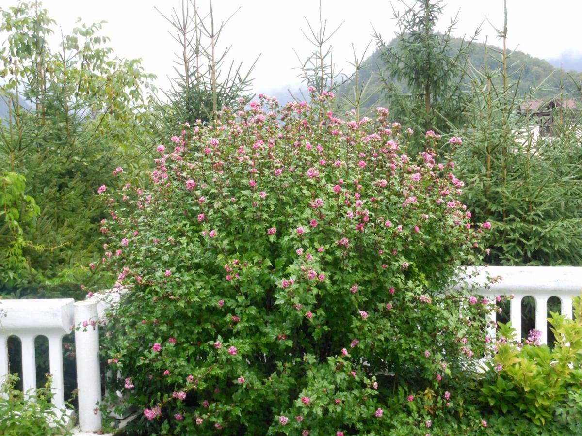 Villa Romy Bad Ischl Zewnętrze zdjęcie
